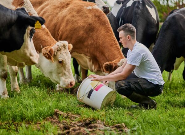 young-man-feeding-cattle-in-a-grassy-field-2026-03-25-07-05-58-utc (1)